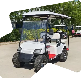 Mobility