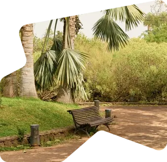park
