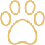 paw 1